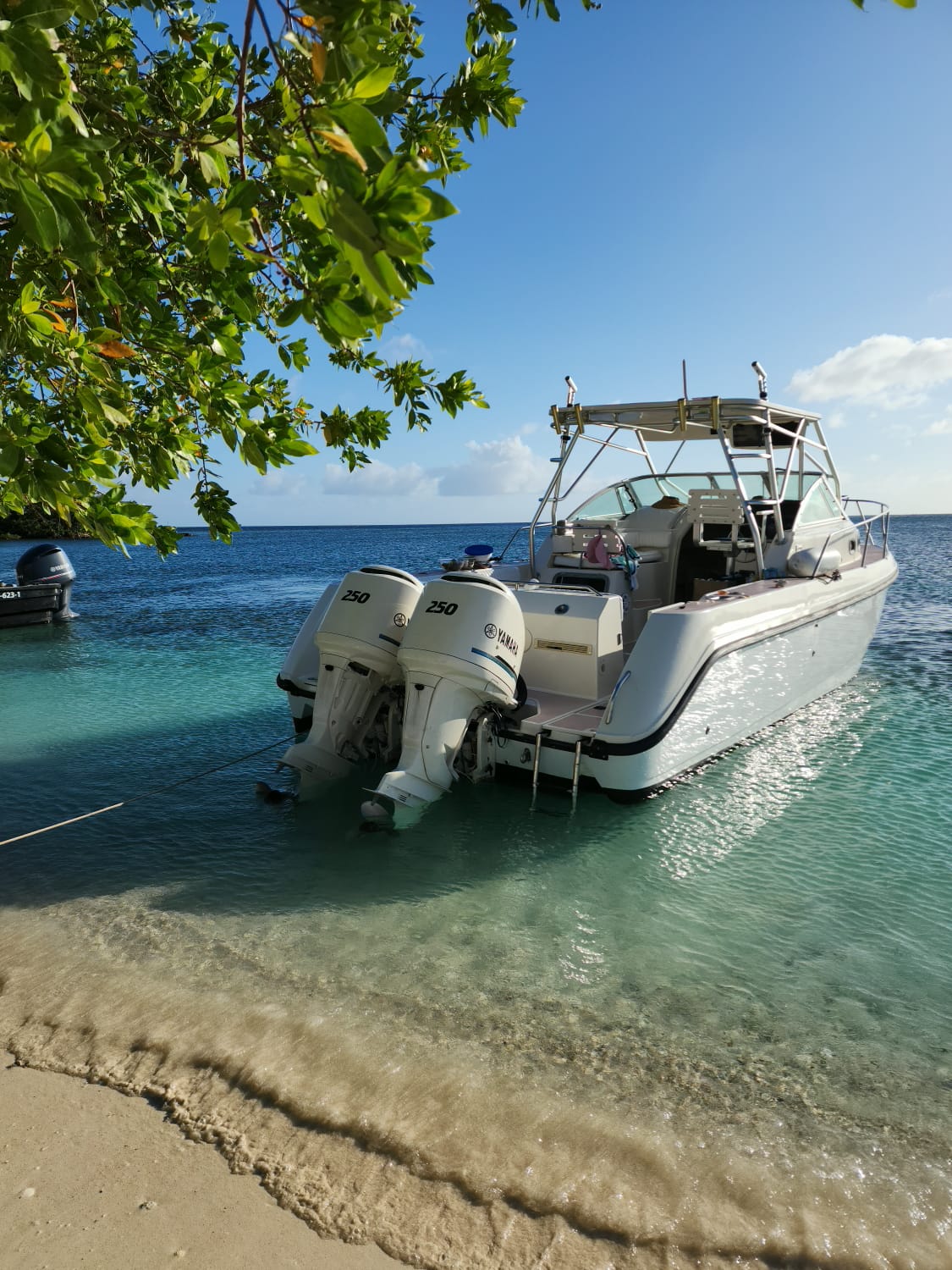 Elite Full-Day Fishing Expedition